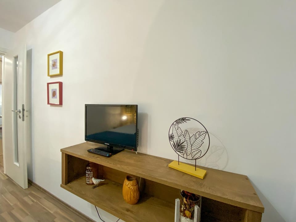 TV and multimedia