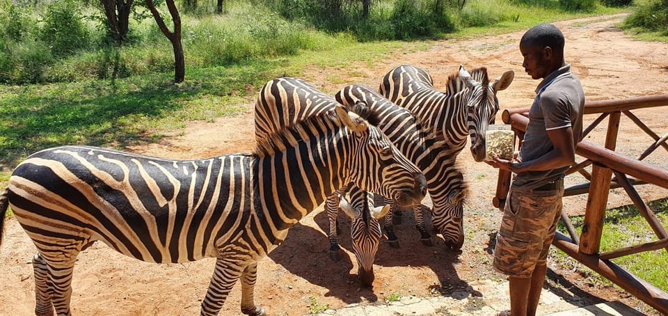 Garden, Animals