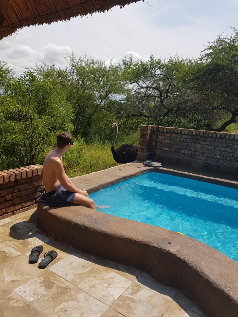 People, Animals, Garden view, Swimming pool, Swimming pool, Swimming pool, Entertainment