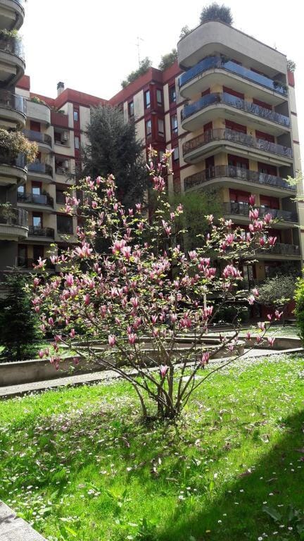 Garden, Garden