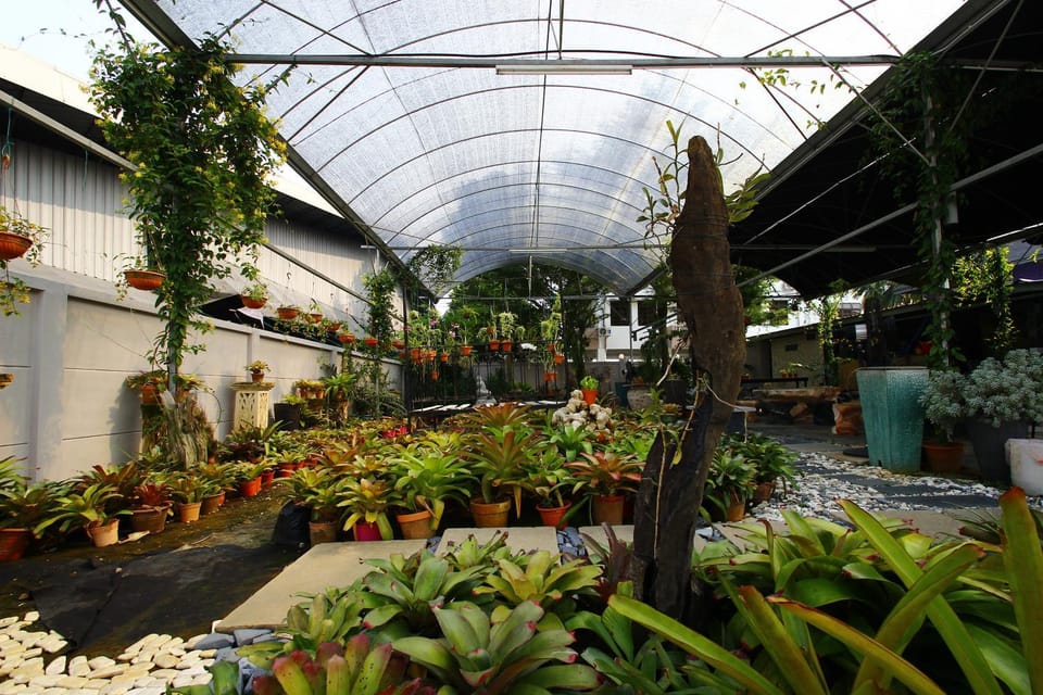The Green Cottage Vacation rental in Kuching