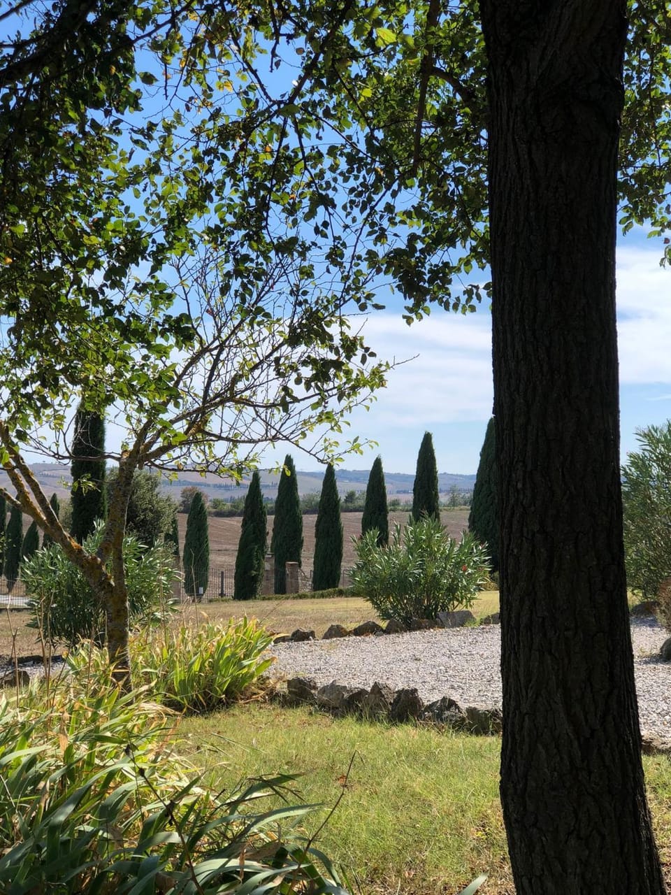 Garden view