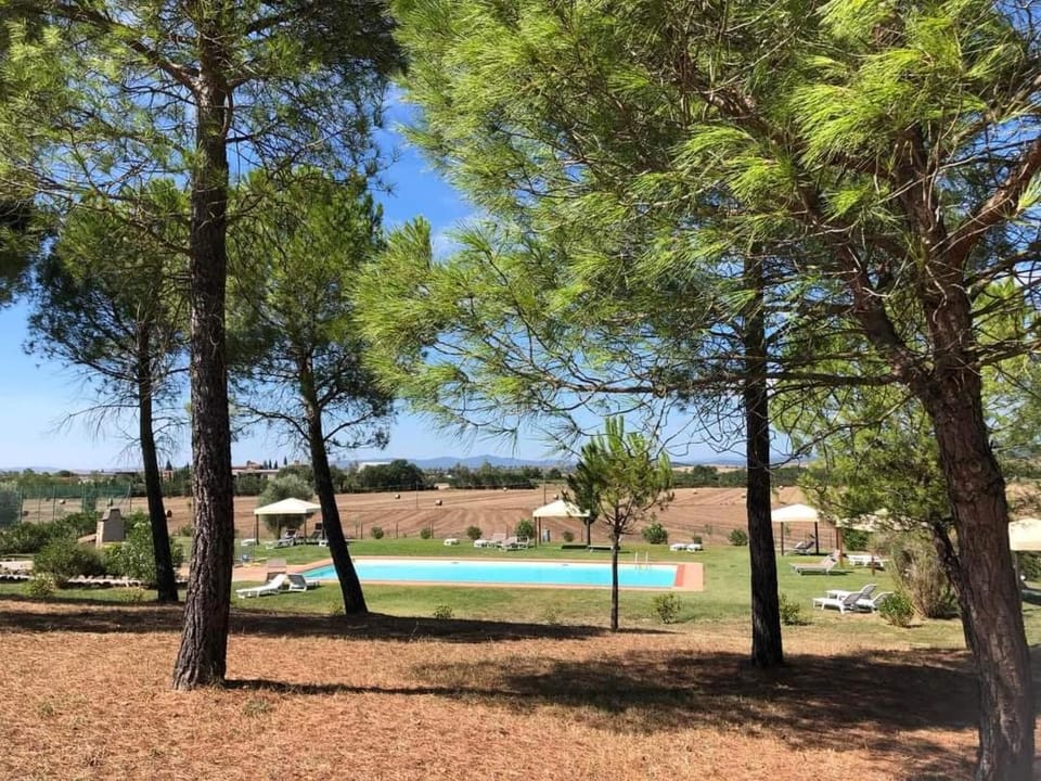 Pool view