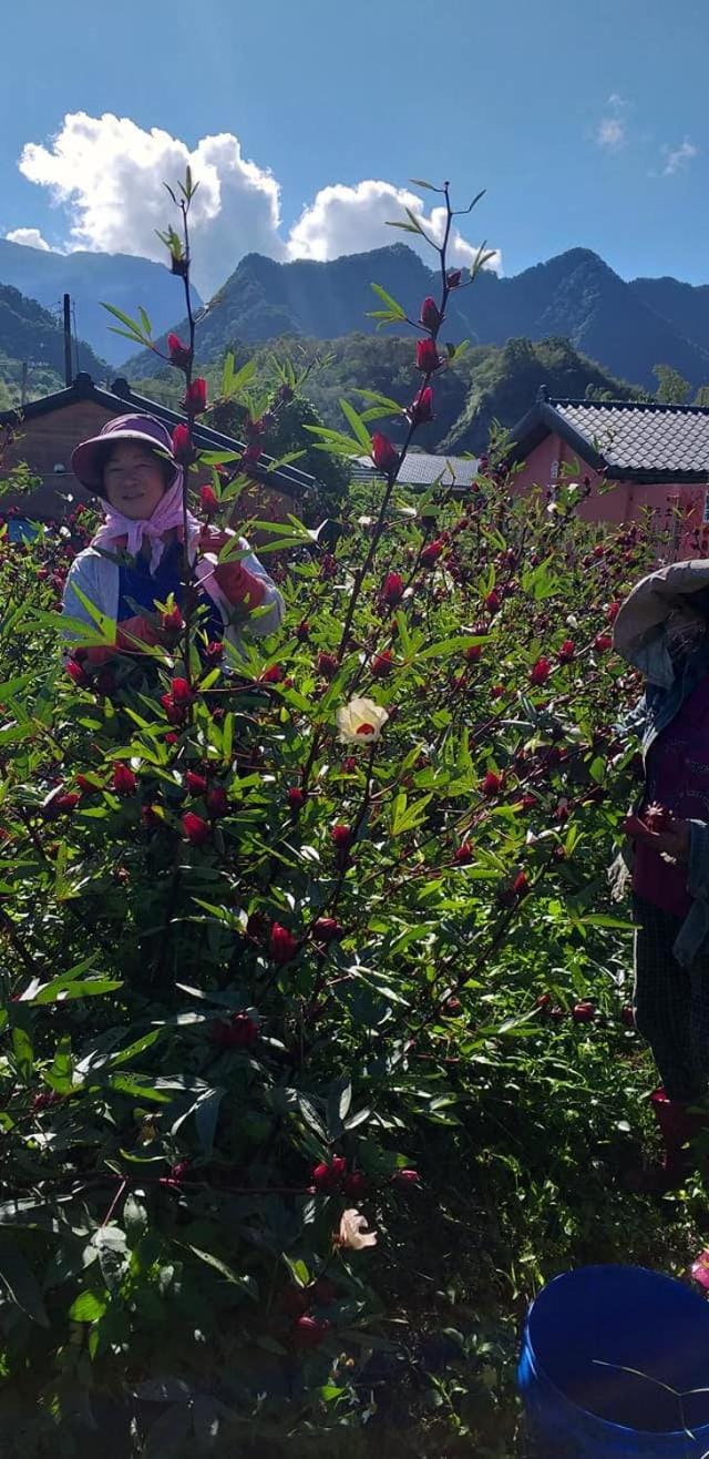 Fengnan Tianzhuang Homestay Vacation rental in Taiwan, Province of China