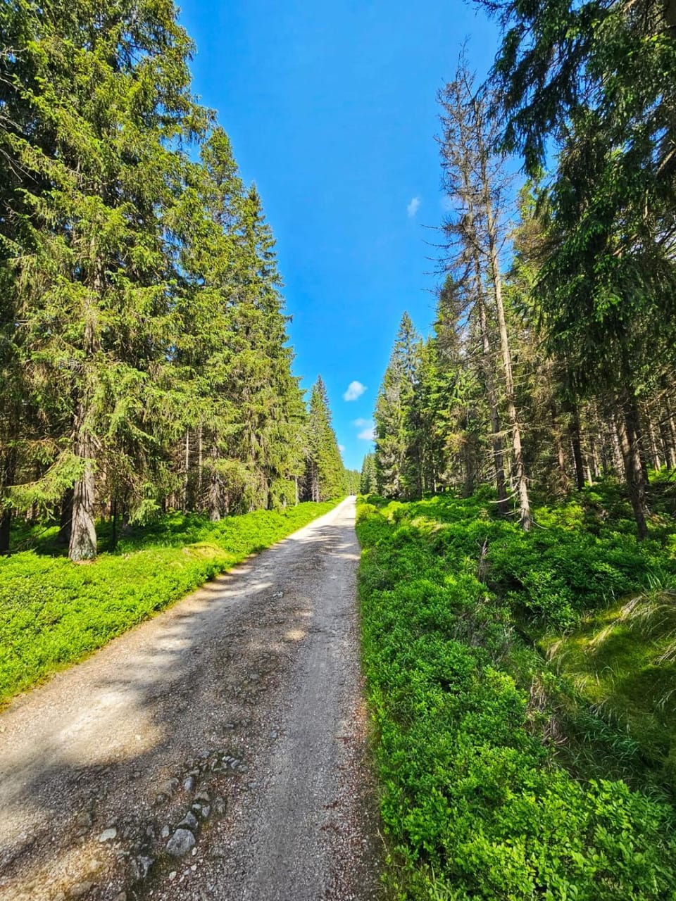 Nearby landmark, Spring, Day, Neighbourhood, Natural landscape, Location