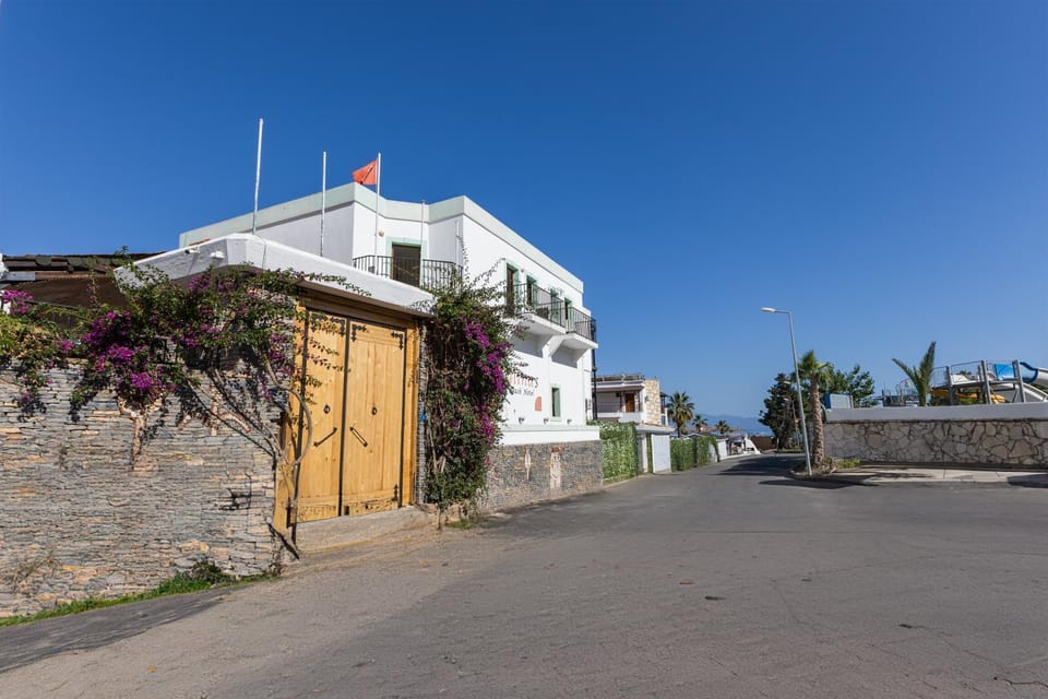 Property building, Day, Street view