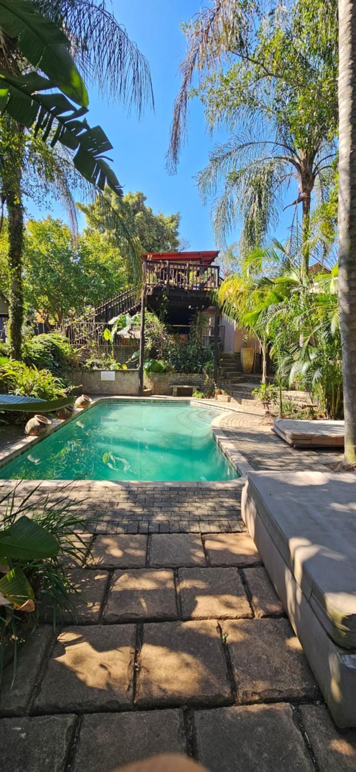 Spring, Day, Garden, Garden view, Pool view, Swimming pool, sunbed