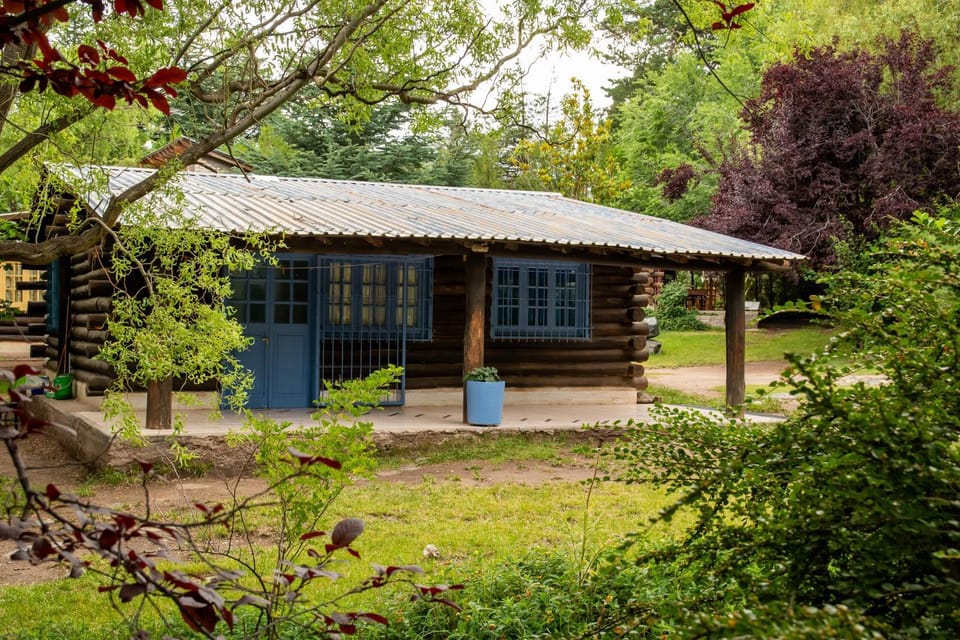Natural landscape, Garden, Garden view