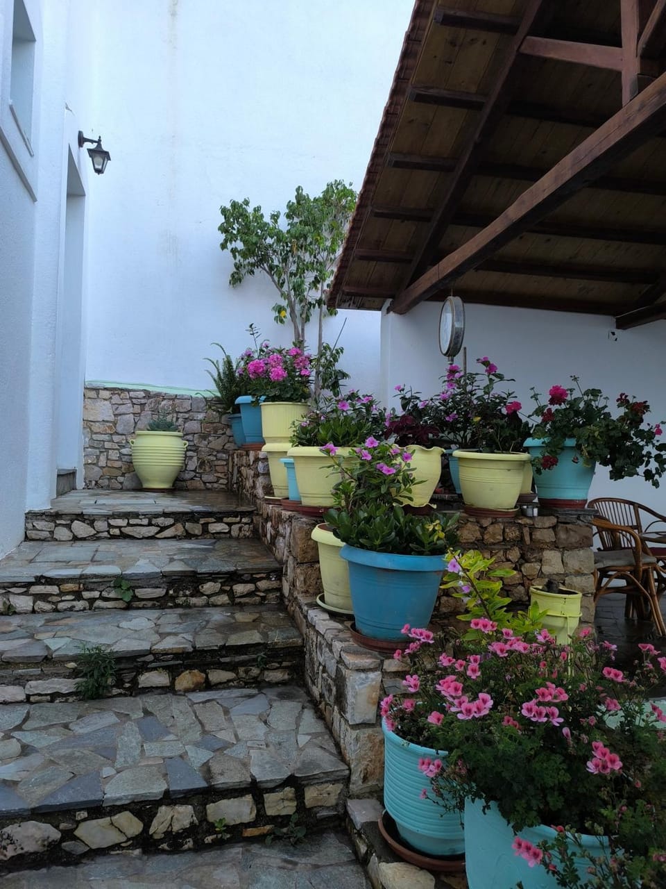 Pension Andromeda Apartment hotel in Sporades, Greece