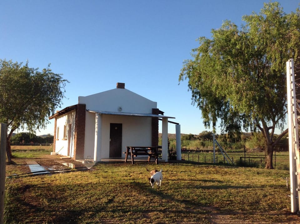 Garden, Balcony/Terrace, Pets, Area and facilities