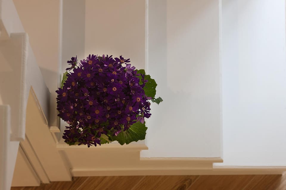 Relais al Museo Bed and Breakfast in Naples