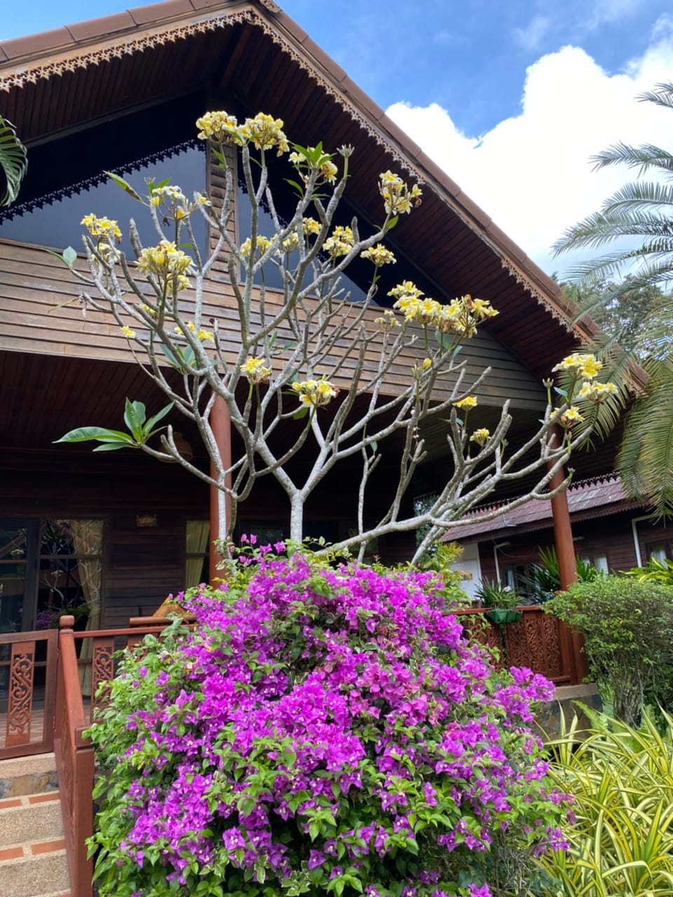 Baan Laem Noi Villa's House in Ko Samui