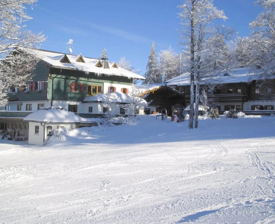 Property building, Winter