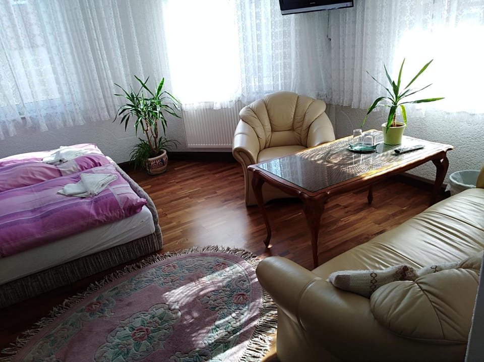 Pension Reichel Bed and Breakfast in Freiberg
