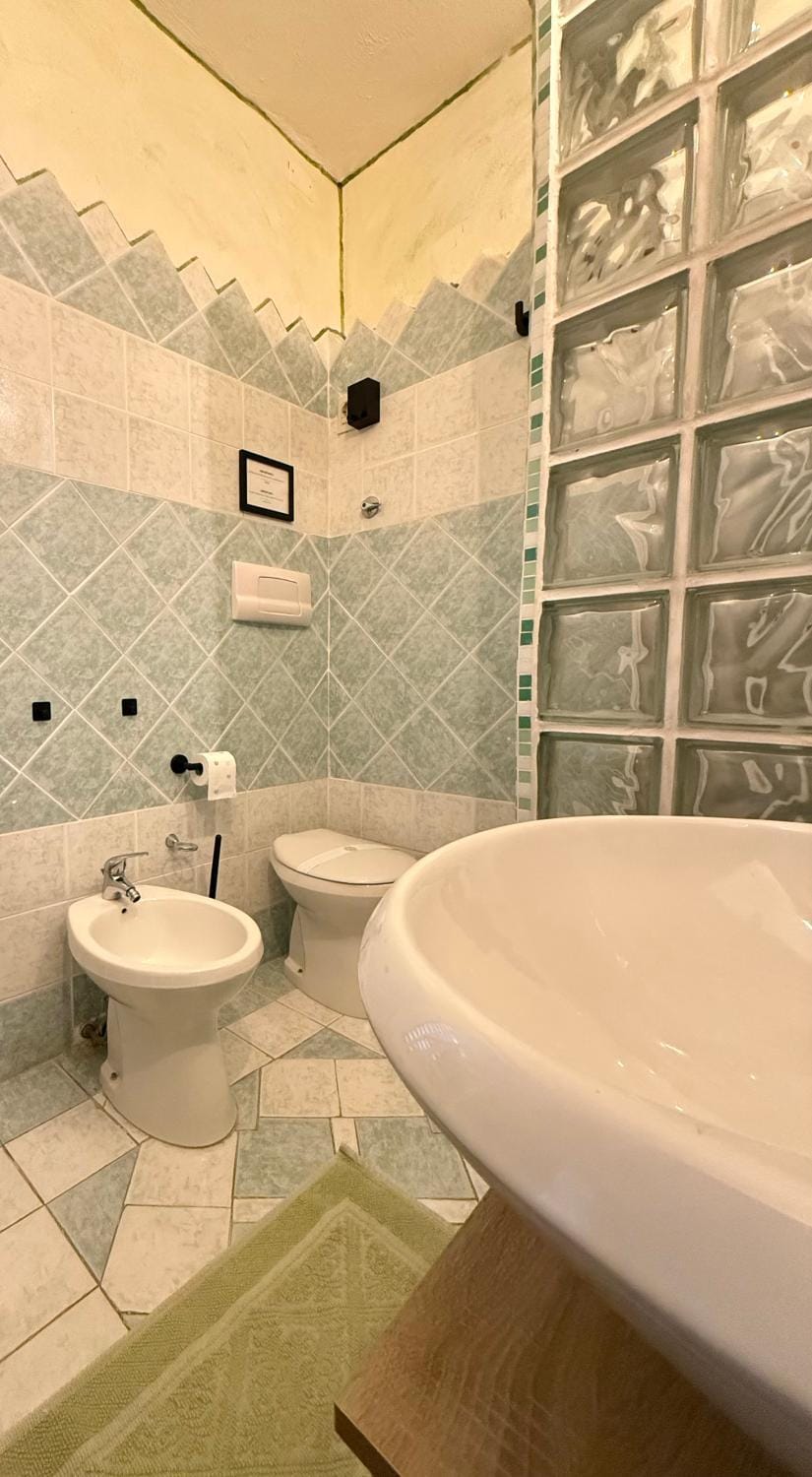 Shower, Toilet, Bathroom, bidet
