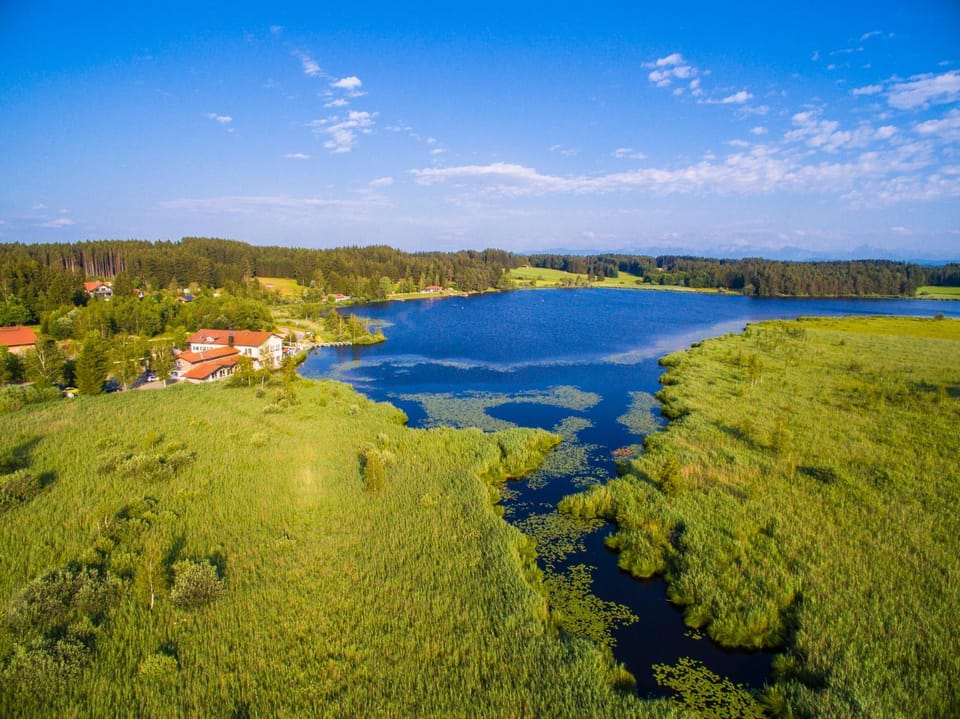 Landmark view