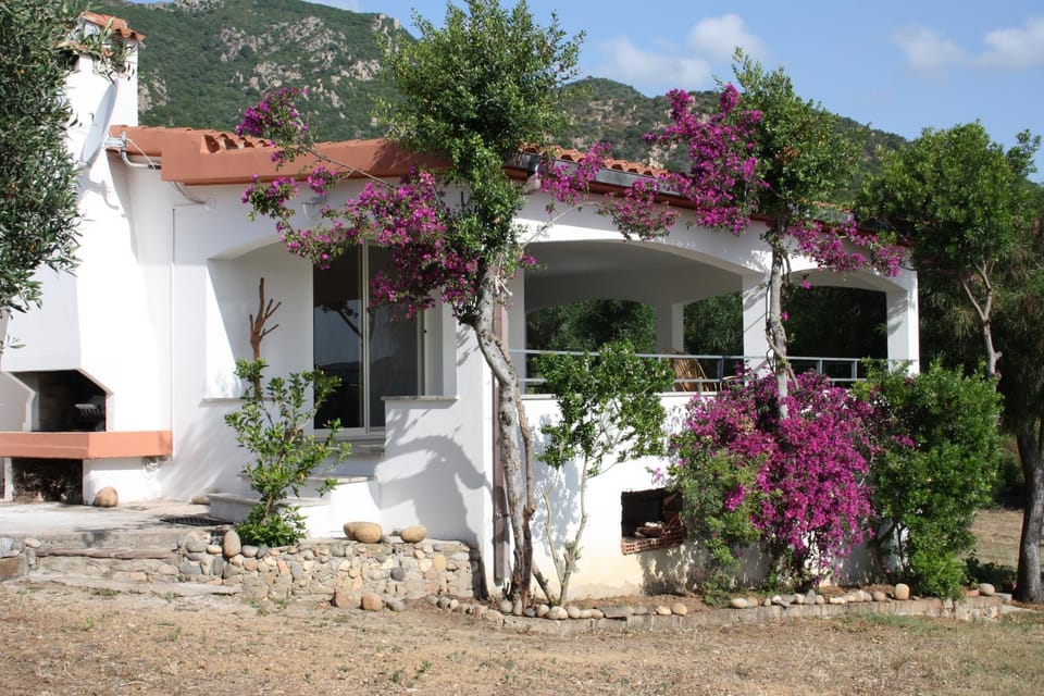 Property building, Patio, Facade/entrance, Summer