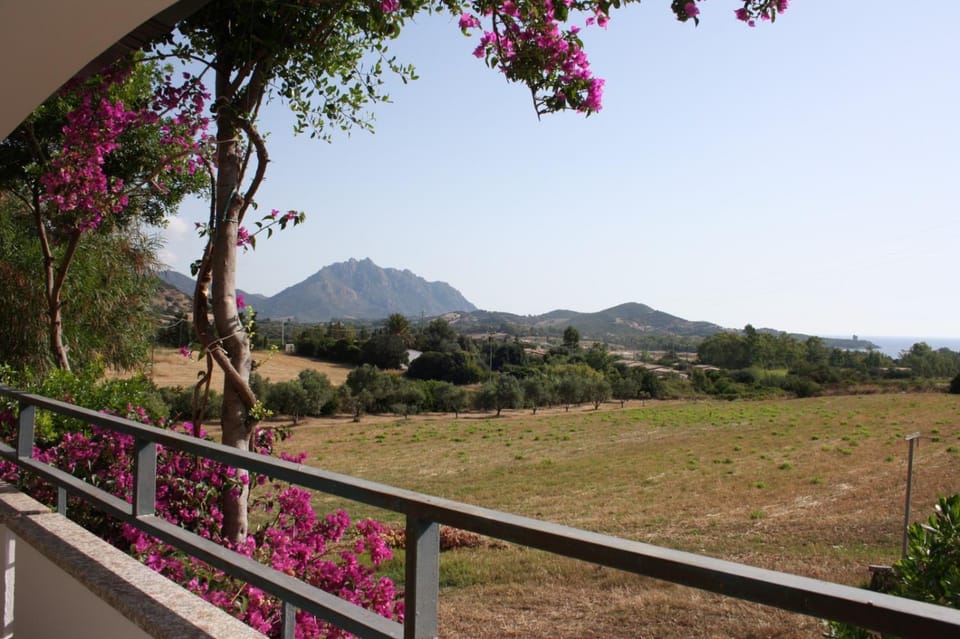 Spring, Balcony/Terrace, Garden view, Mountain view, Sea view