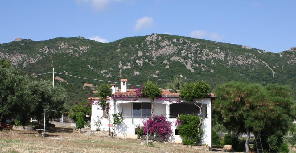 Mountain view