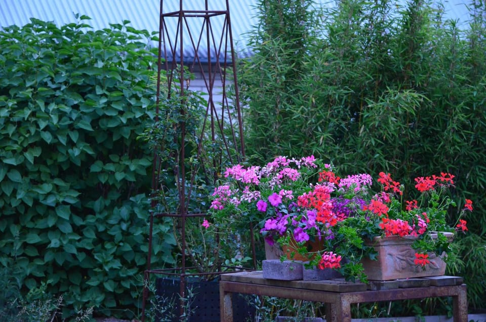 Property building, Garden view