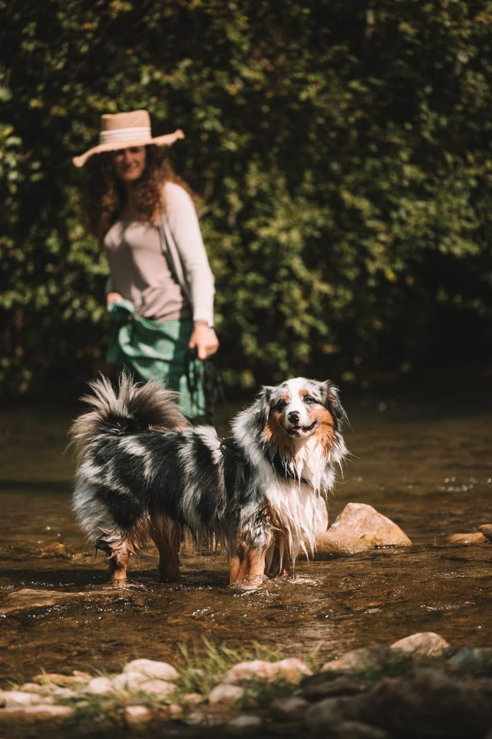 Natural landscape, Animals, River view