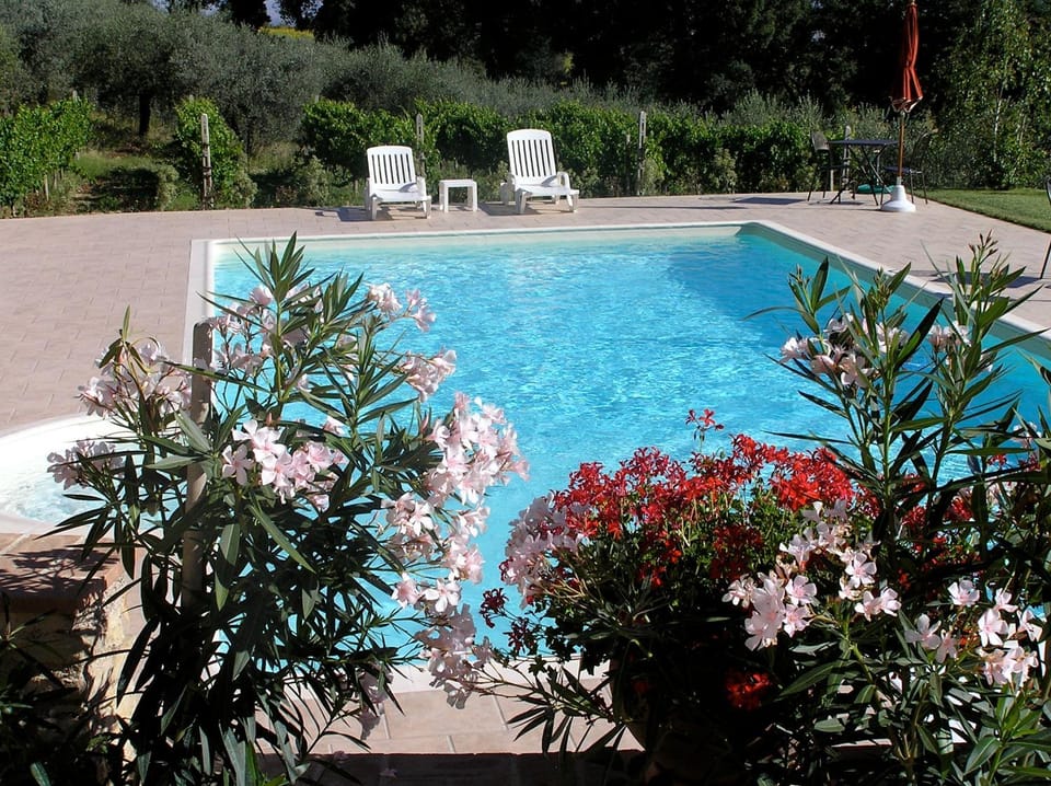 Pool view, Swimming pool