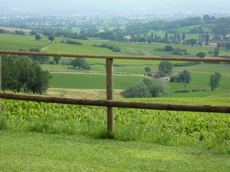 Garden, Garden view, Landmark view