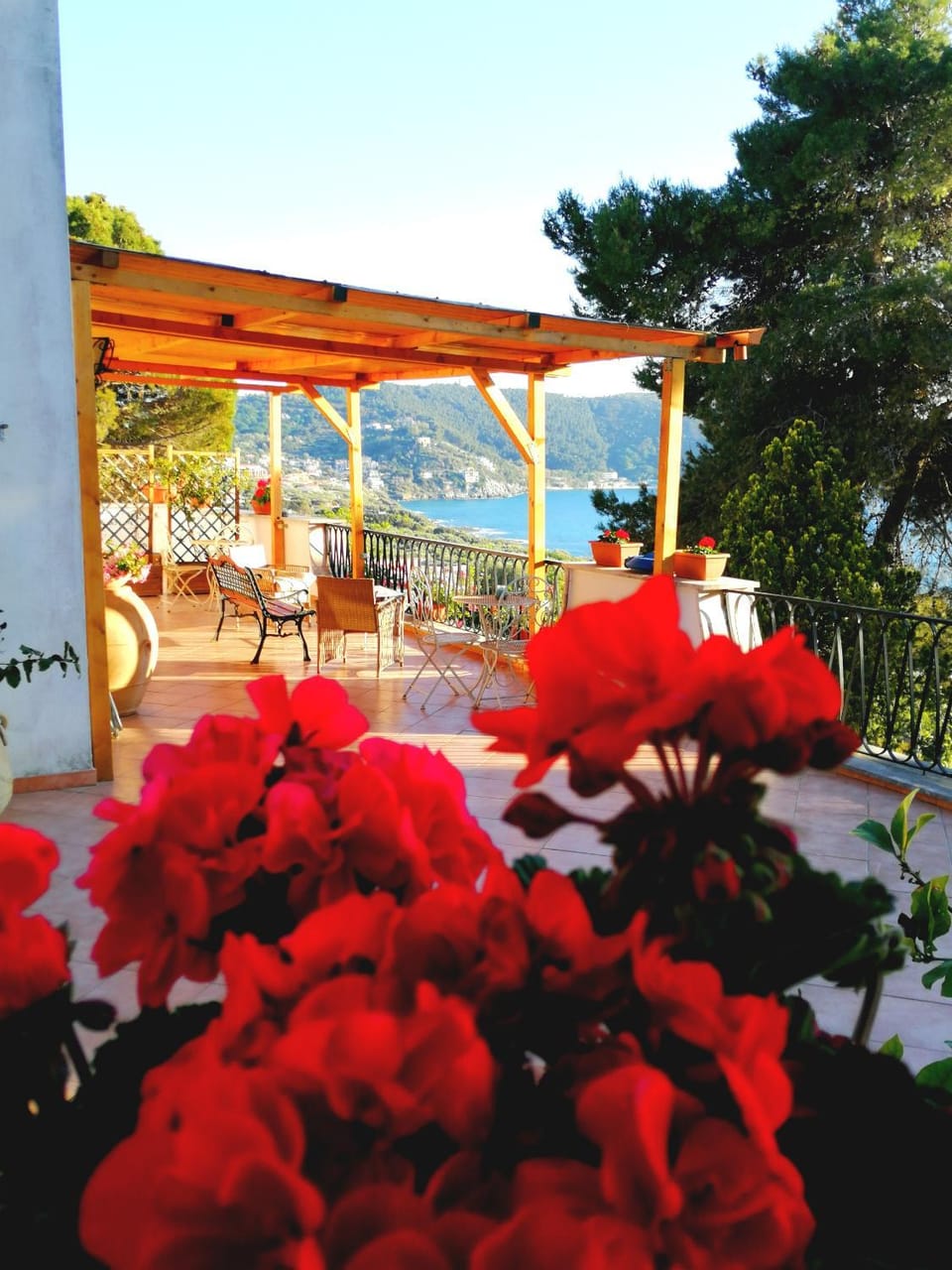 Il Sogno di Vincenzo e Maria Bed and Breakfast in Campania