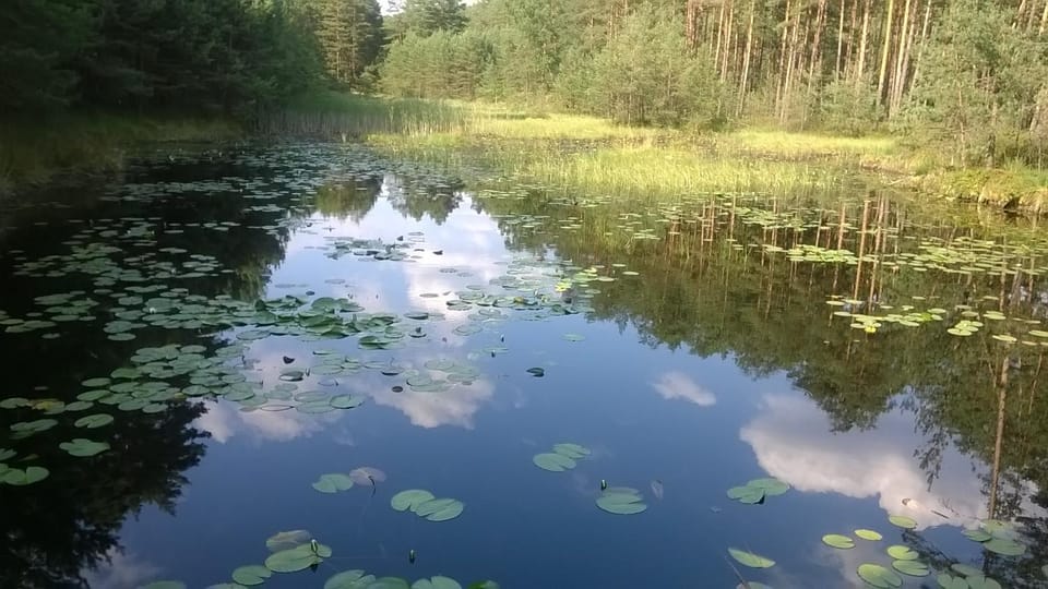 Neighbourhood, Natural landscape, Hiking, Animals