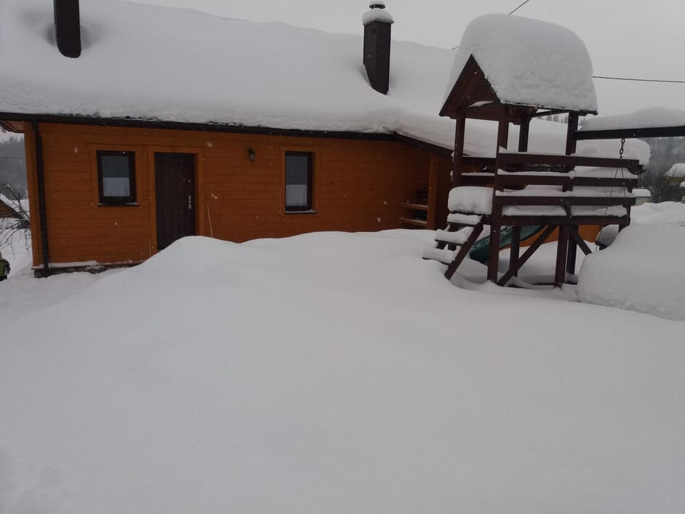 Winter, Garden