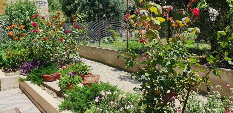 Patio, Garden, Garden view