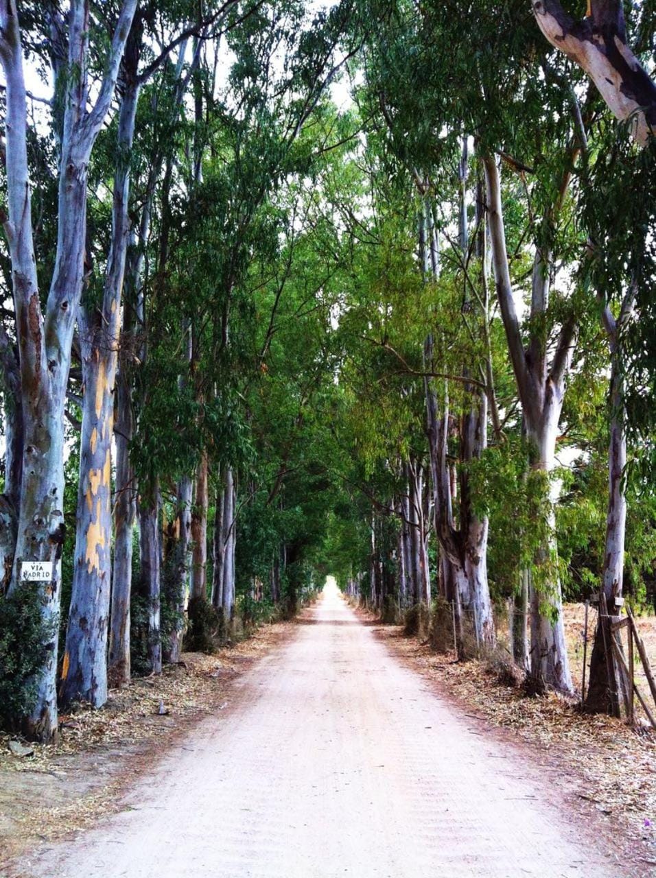 Natural landscape