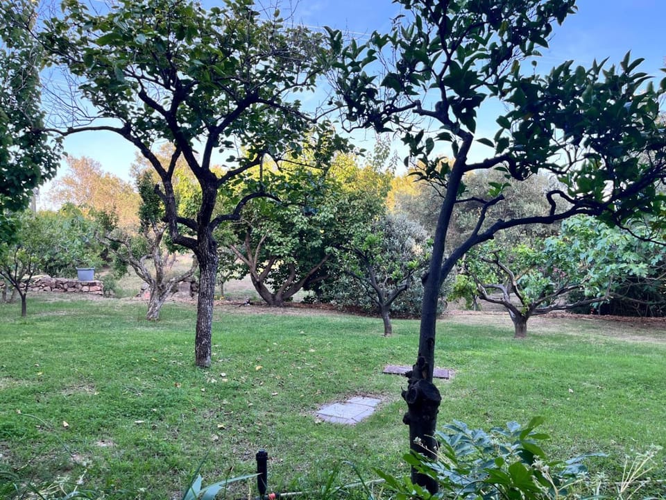 Villa antares Vacation rental in Sardinia