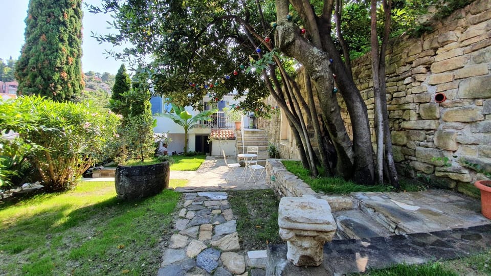 Patio, Garden
