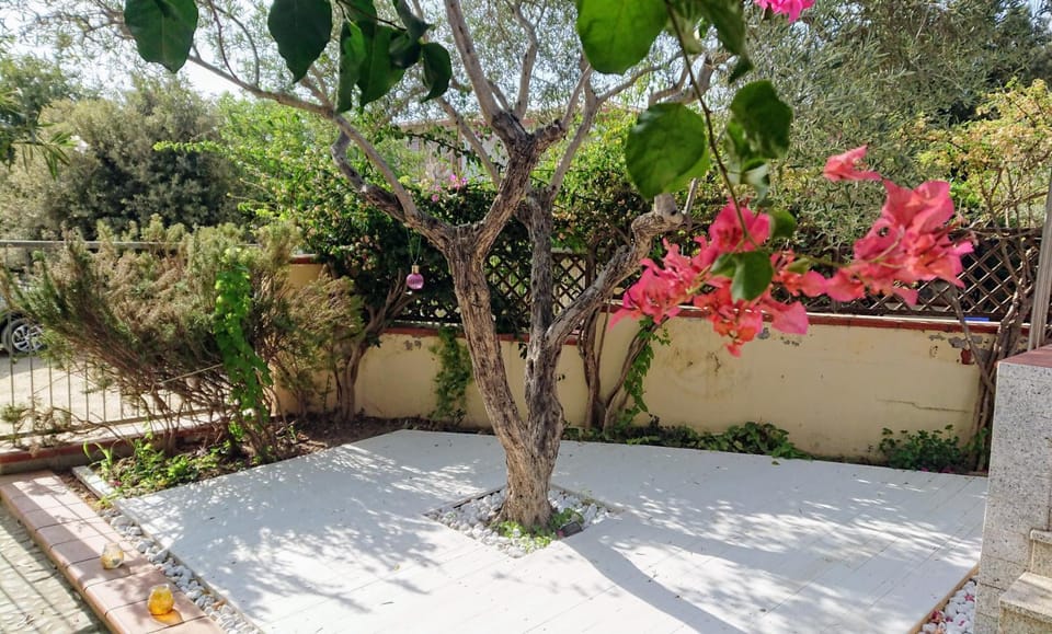 Patio, Garden