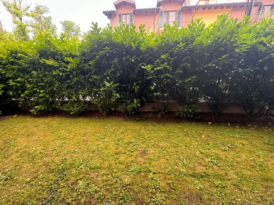 Garden, Garden view