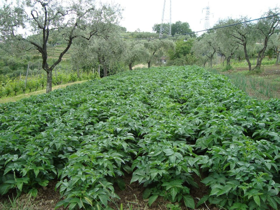 Agriturismo Il Fienile Farm Stay in Province of Massa and Carrara