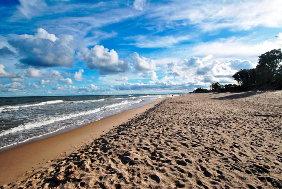 Beach, Area and facilities