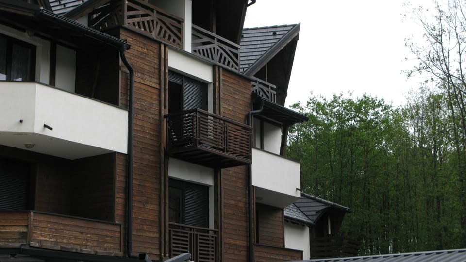 Dream Apartment Apartment in Zlatibor