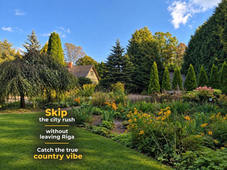 Day, Garden view