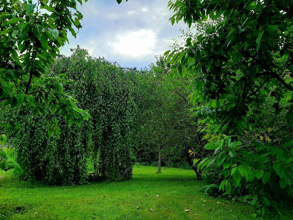Garden, Garden view