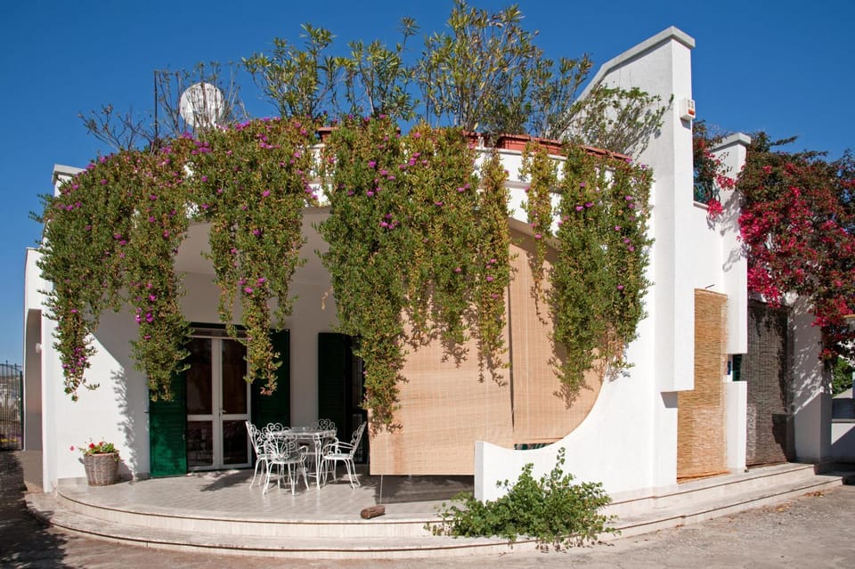 Patio, Facade/entrance