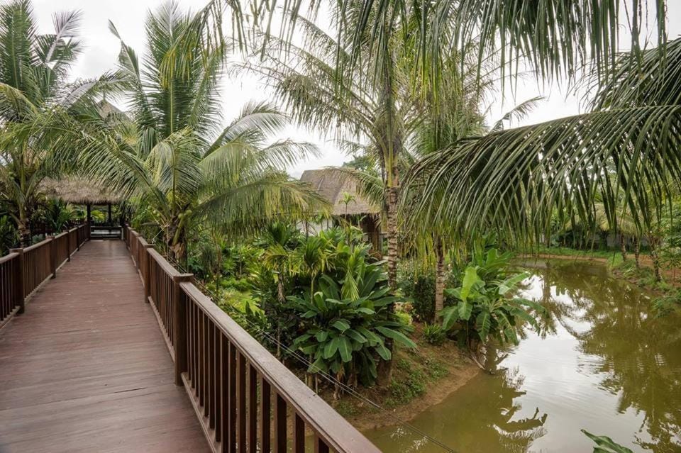 Day, Natural landscape, Garden, Garden view