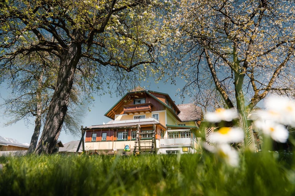 Property building, Garden, Garden view
