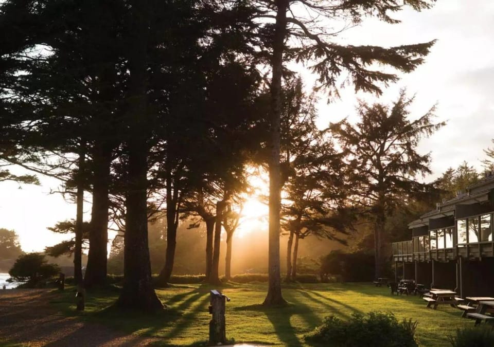 Property building, Natural landscape, Sunset