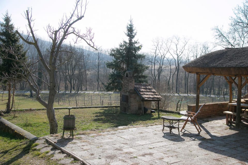 View (from property/room)