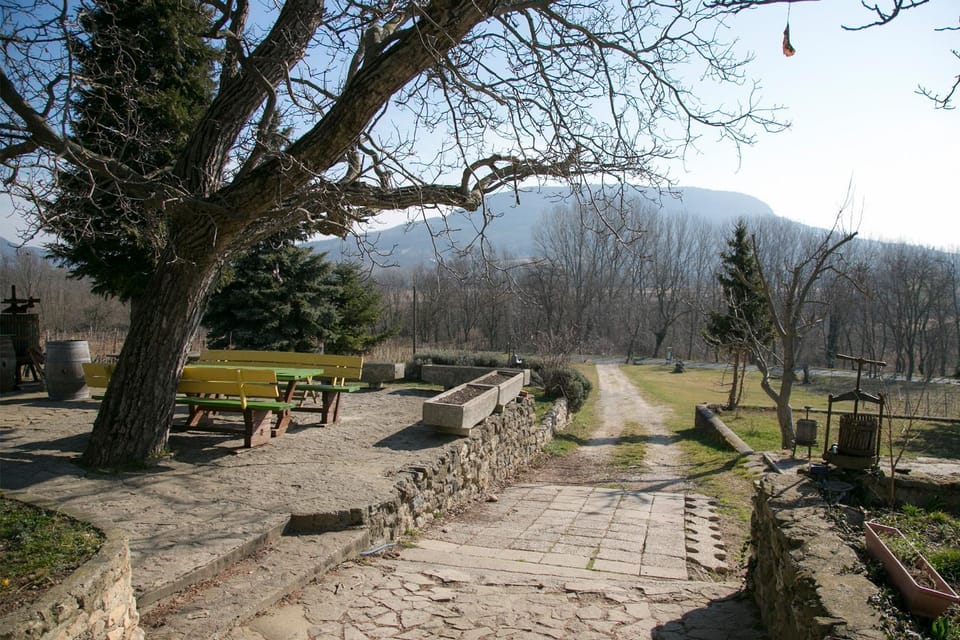 Mountain view