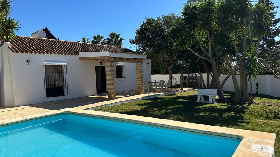 Garden, Pool view, Swimming pool