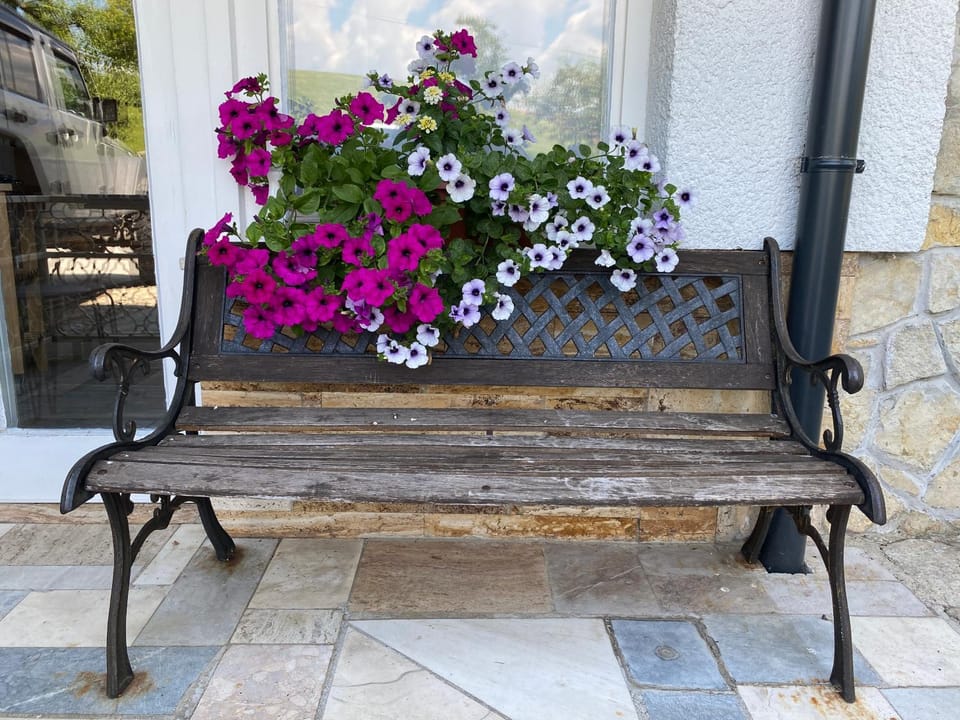 Apartments Olga Bed and Breakfast in Bled