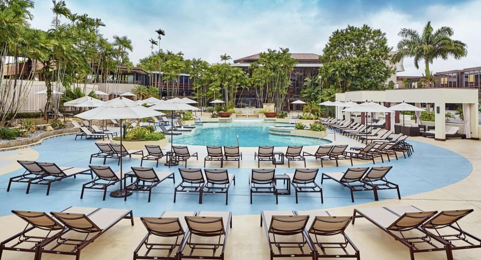 Pool view, Swimming pool